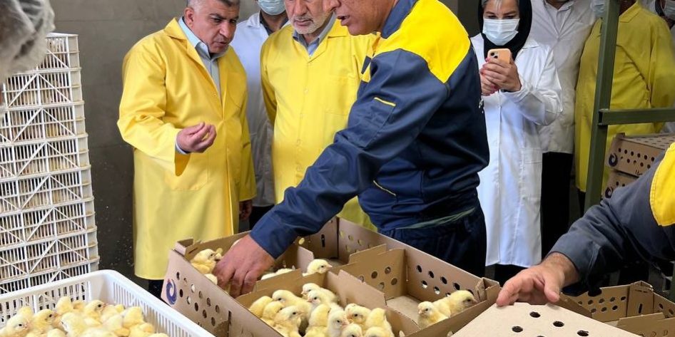 بازدید-دکتر-جعفر-قادری-نماینده-مجلس-از-شرکت-مجتمع-طیور-فارس_-۳
